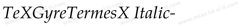 TeXGyreTermesX Italic字体转换